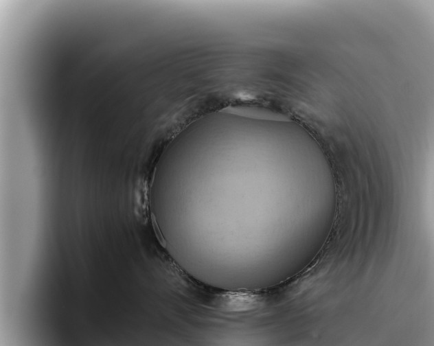 X0000095890528200801181228