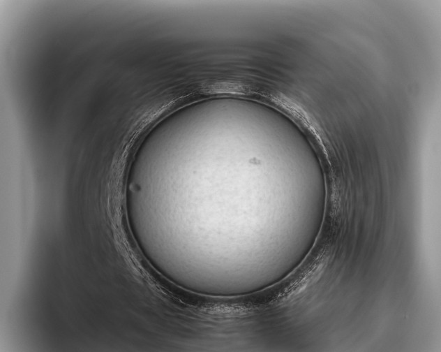 X0000095890529200801181227