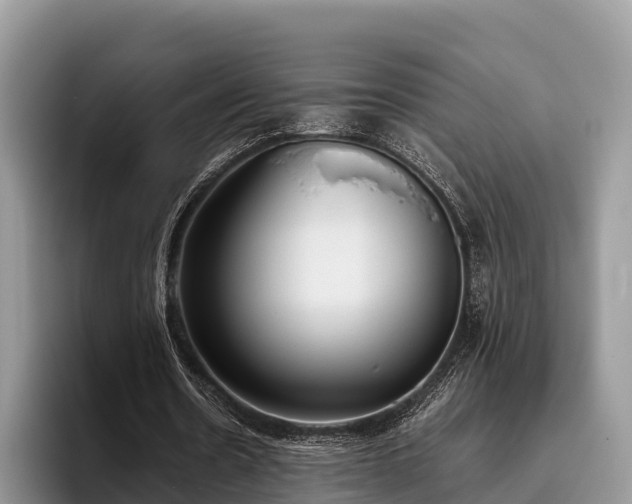 X0000095890530200801181227