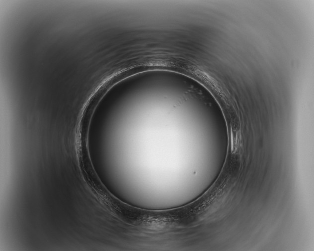 X0000095890531200801181227