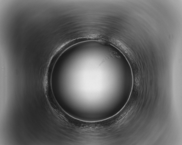 X0000095890532200801181227