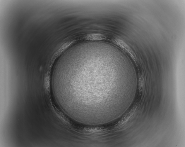 X0000095890533200801181227