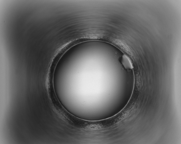 X0000095890536200801181227