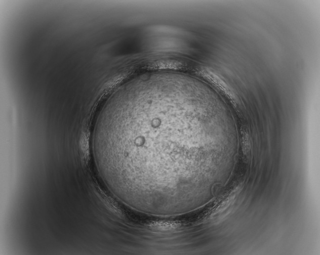 X0000095890537200801181227