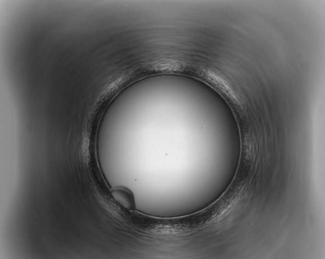 X0000095890538200801181227