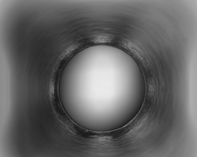 X0000095890539200801181227