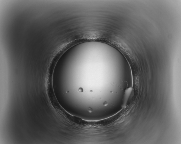 X0000095890540200801181227