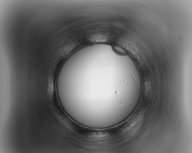 X0000095890541200801181227
