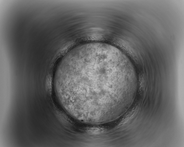 X0000095890542200801181227
