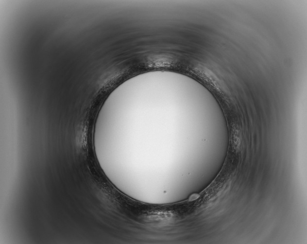 X0000095890543200801181227