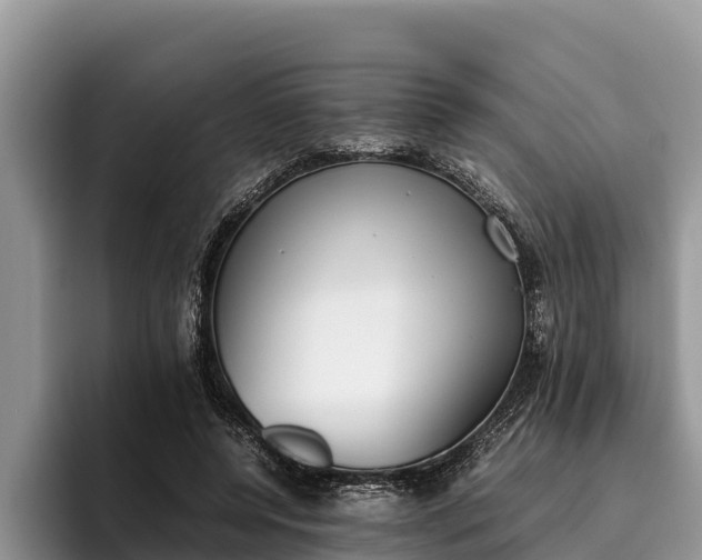 X0000095890544200801181228