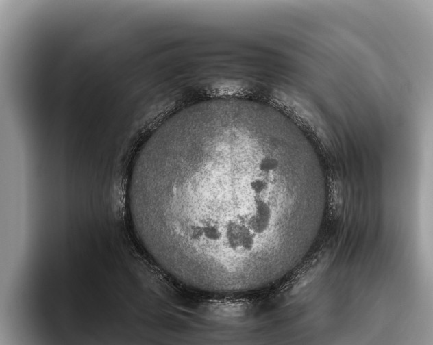 X0000095890545200801181228