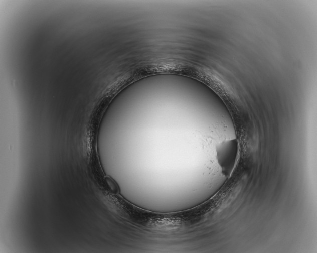 X0000095890546200801181228