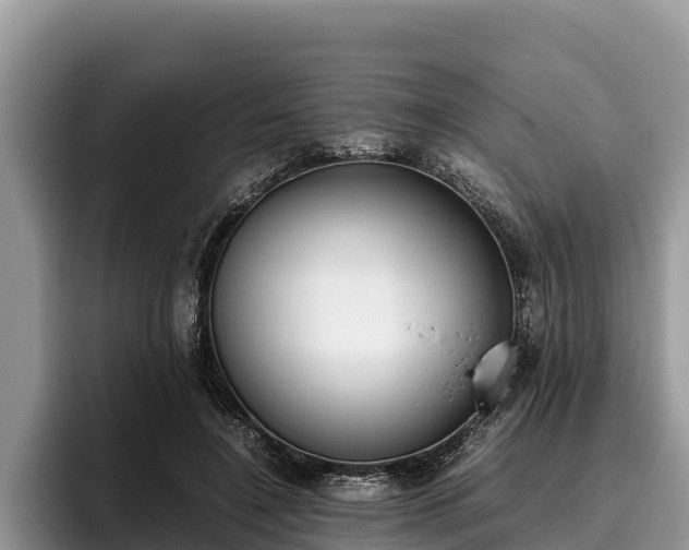 X0000095890548200801181228