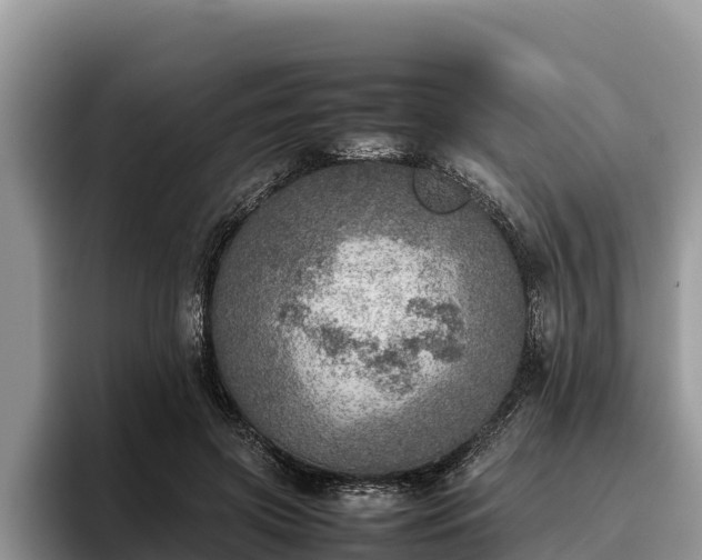 X0000095890549200801181228