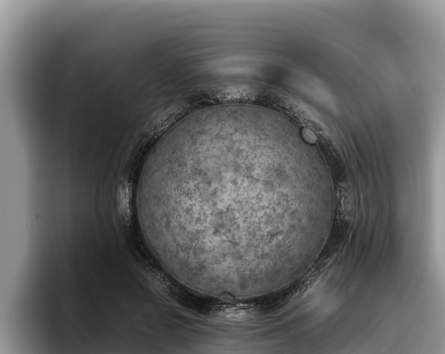 X0000095890550200801181228