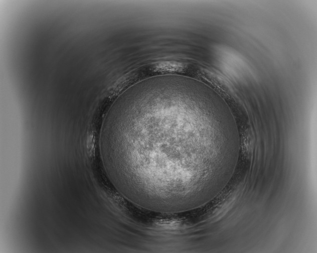 X0000095890551200801181228