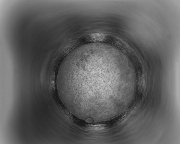 X0000095890553200801181228