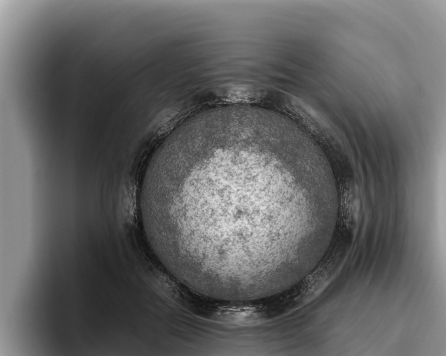 X0000095890554200801181228