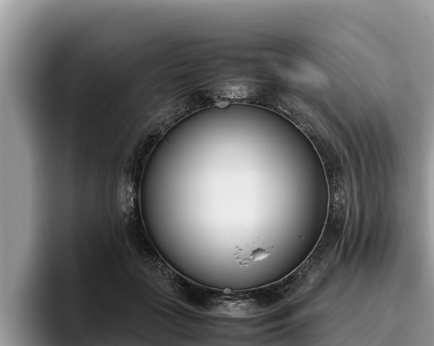 X0000095890555200801181228