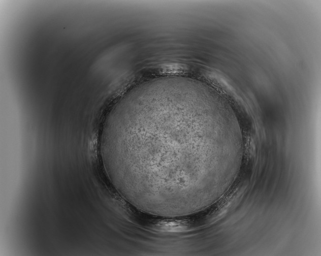 X0000095890557200801181228
