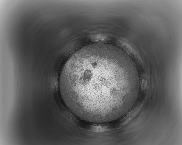 X0000095890561200801181228