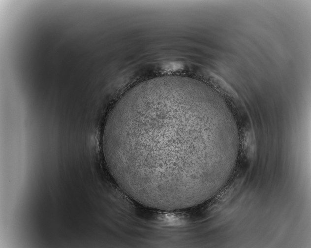 X0000095890565200801181228
