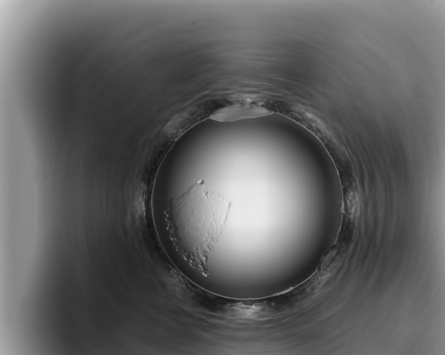 X0000095890570200801181228