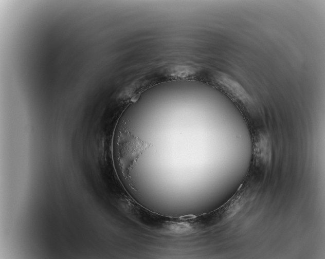 X0000095890572200801181228