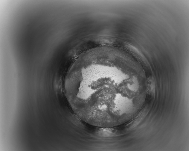 X0000095890573200801181228