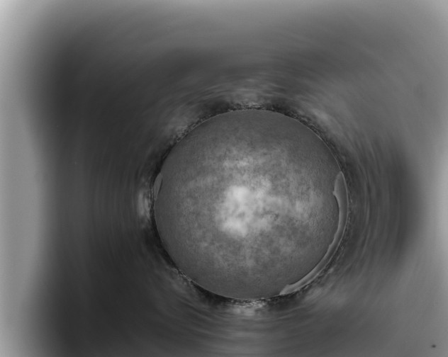 X0000095890576200801181228