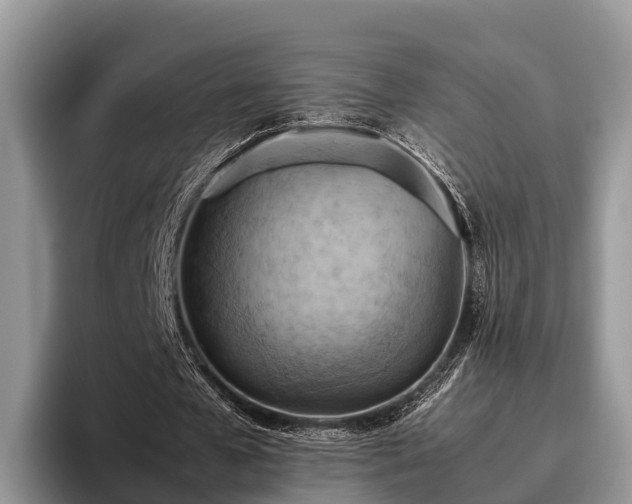 X0000095890577200801181227