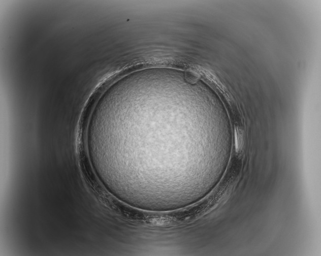 X0000095890579200801181227