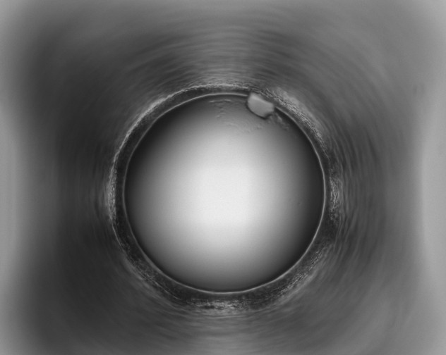 X0000095890580200801181227
