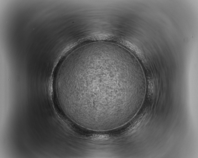X0000095890582200801181227
