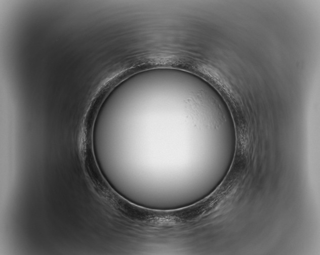 X0000095890583200801181227