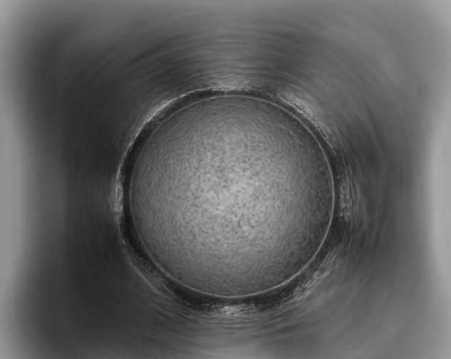 X0000095890584200801181227