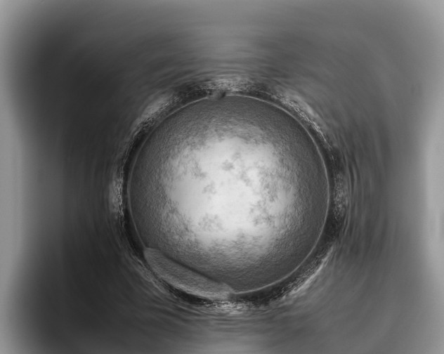 X0000095890585200801181227