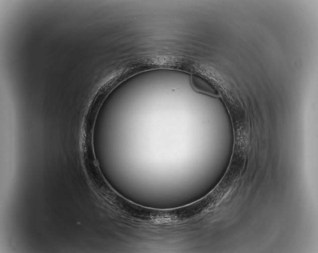 X0000095890587200801181227