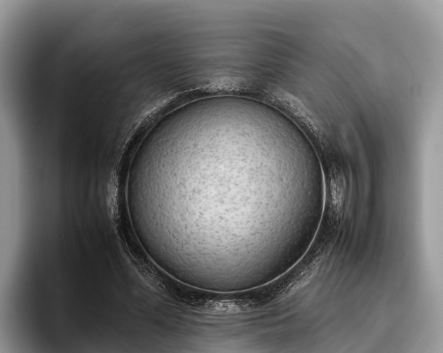 X0000095890588200801181227