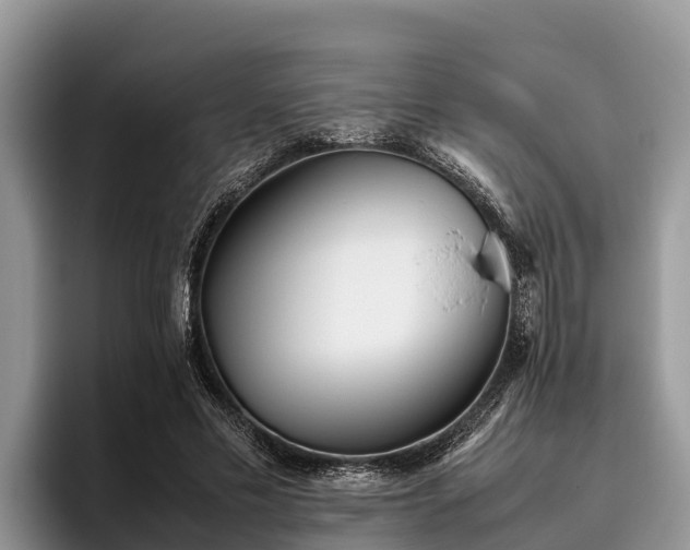 X0000095890589200801181227