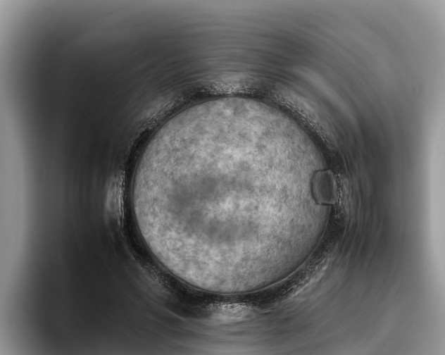 X0000095890590200801181227