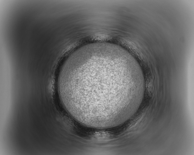 X0000095890591200801181227