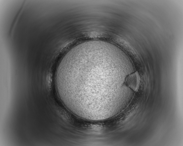 X0000095890592200801181227