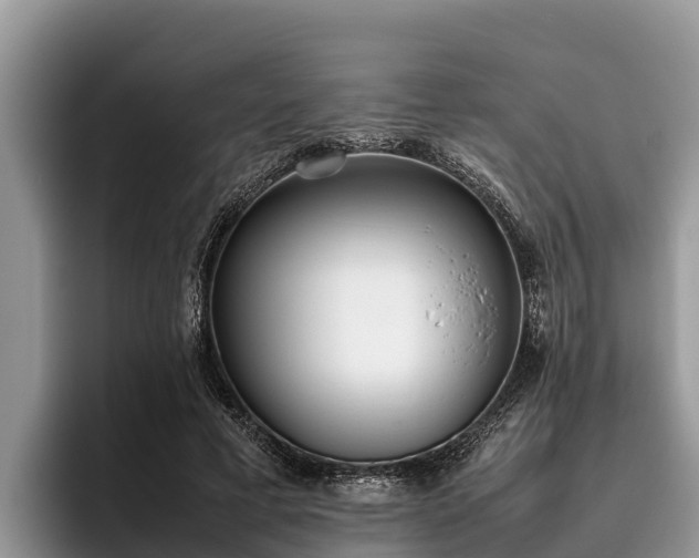 X0000095890593200801181227