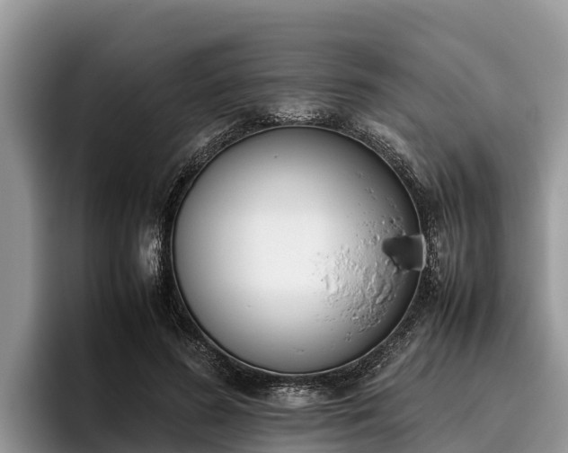 X0000095890596200801181227