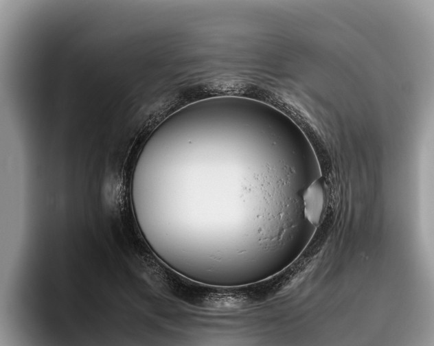 X0000095890597200801181227