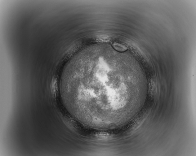 X0000095890598200801181227