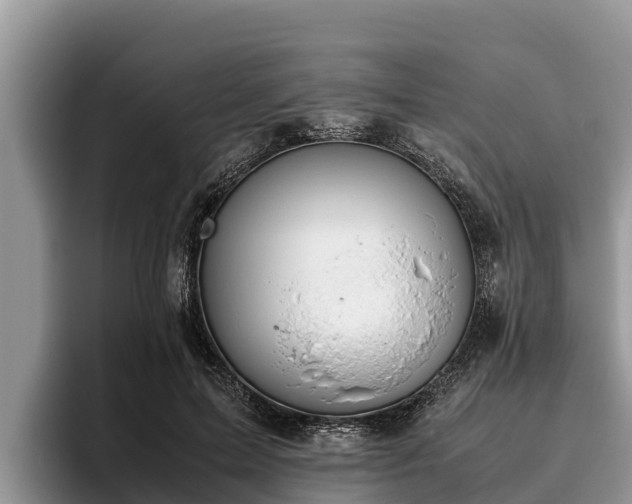 X0000095890599200801181227