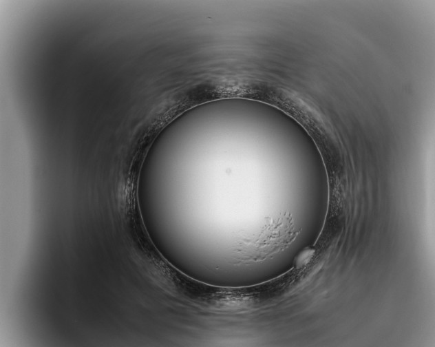 X0000095890601200801181227